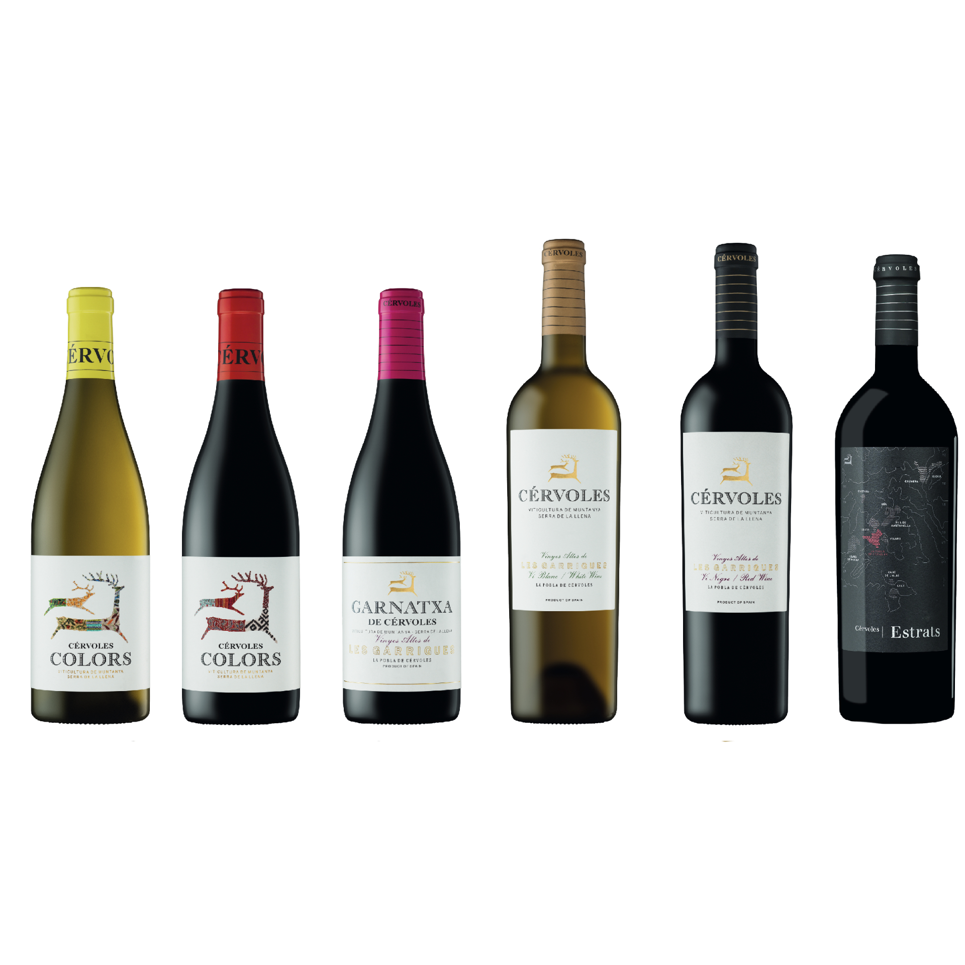Winery-2022_SEPT_cervoles